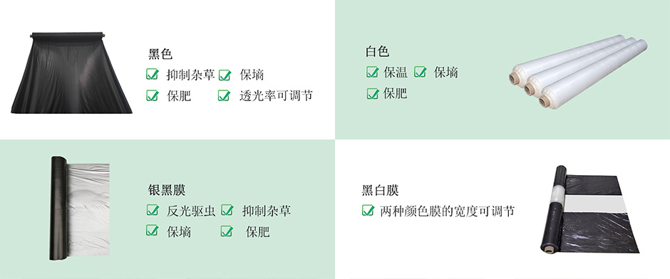 詳情圖中文.jpg